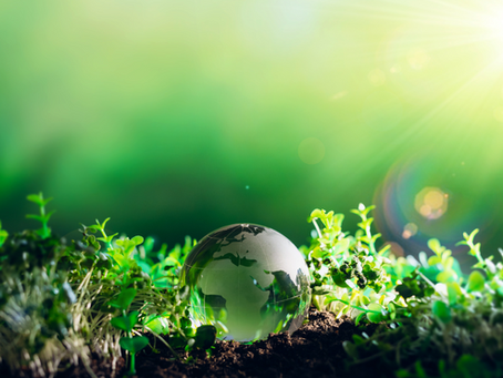 World Environment Day 2025: Moving Towards Collective Action for Our Planet