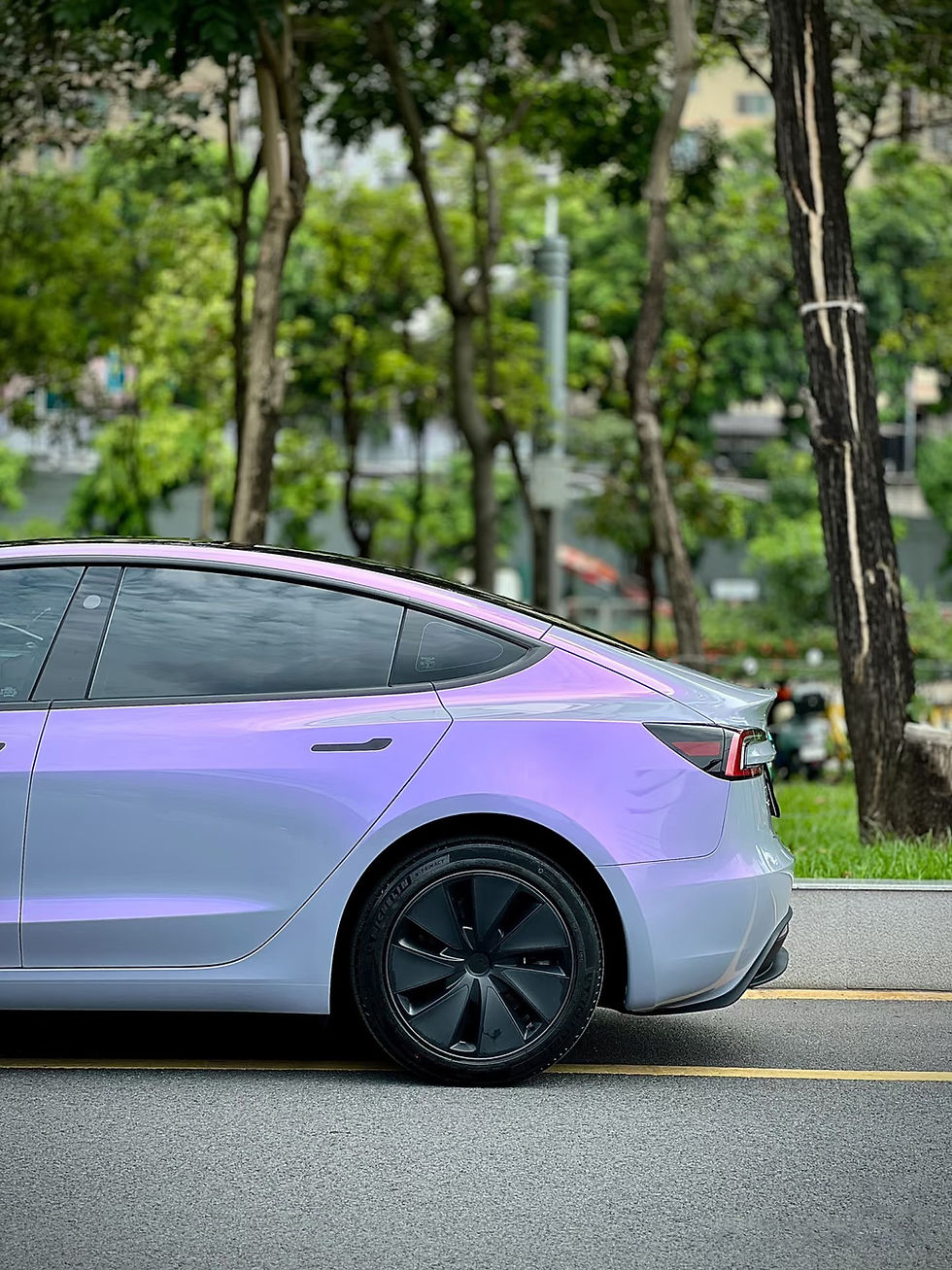 섬네일: SD111 TPU ChameleonGrey Purple