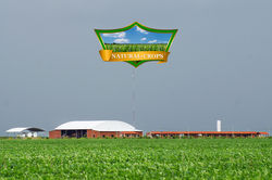 Natural «» Crops