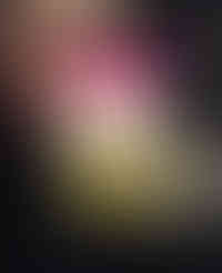 Instagram maison jojo_20254