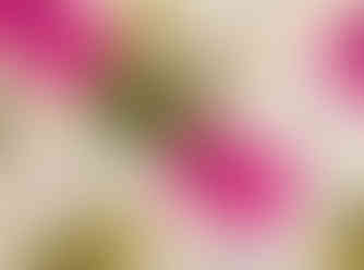 Realistic Business Cards MockUpfinal fond vert4