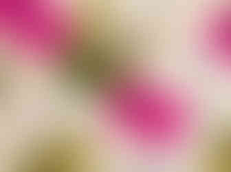 Realistic Business Cards MockUpfinal fond vert4