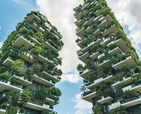 Cities Go Green