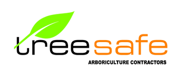 white background png_edited.png