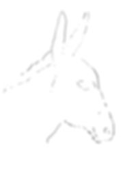 donkey1 copy.jpg