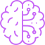 brain.png