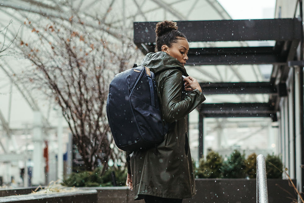 縮圖：Peak Design Everyday Backpack 20L Zip V2 拉鍊式背包