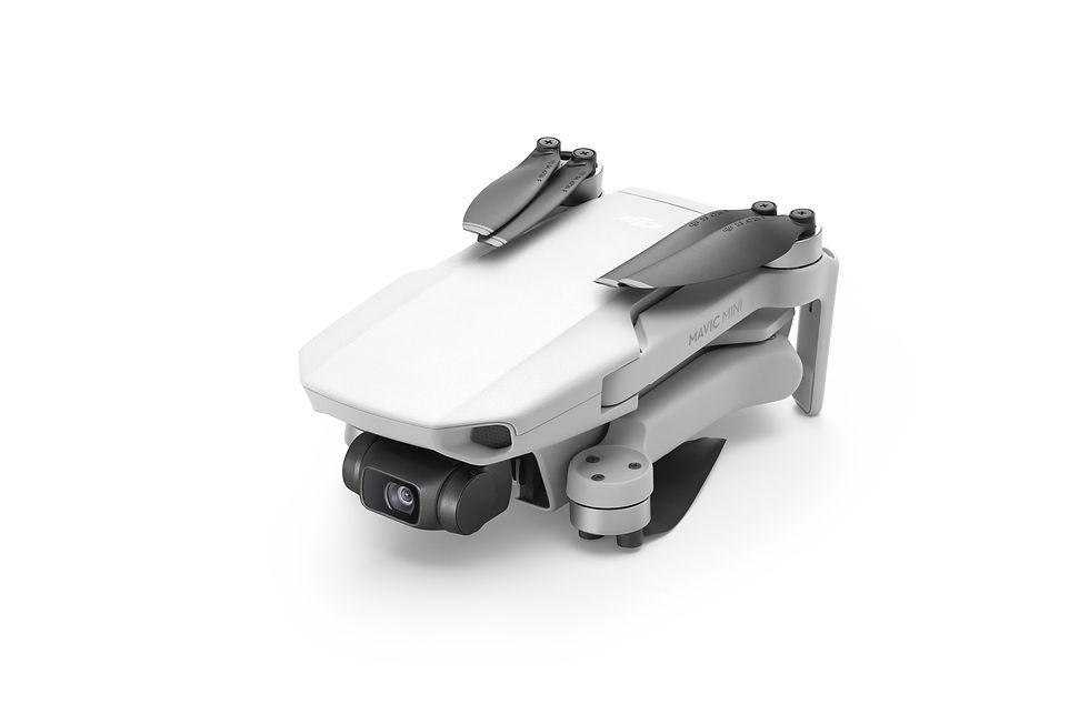 縮圖：DJI Mavic Mini
