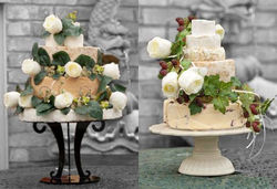 elle from;;;;;;;.jpg