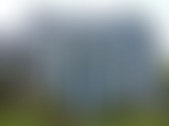 Резиновая краска для сайдинга