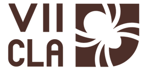 LOGO VIICLA HORIZONTAL.png