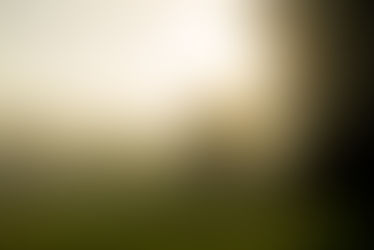 An hour in the mist