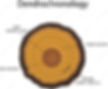 DENDROCHRONOLOGY AND THE LOUISIANA PURCHASE PROJECT