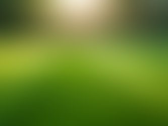 Weekly Lawn Maintenance for a Lush Yard