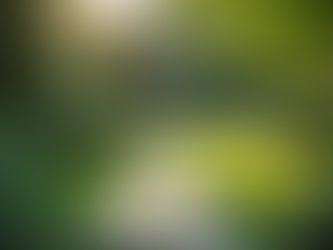 Transform Your Outdoors with Expert Landscaping