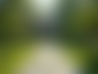 Expert Landscape Design for Your Dream Outdoor Space