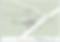 Screen Shot 2023-06-13 at 6.33.51 pm.png