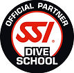 Presentation-Dive School.jpg