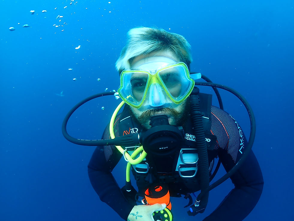 Basic Diver, Scuba Diver u Open Water: ¿cuál elegir?