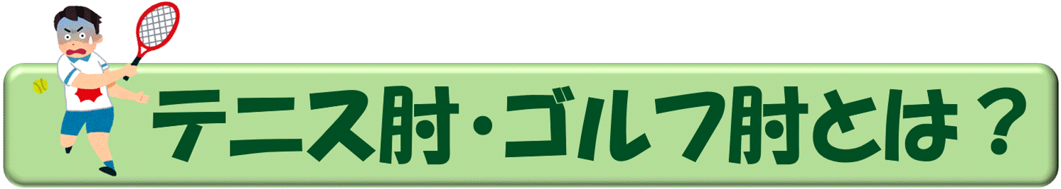 肘【概要】.gif