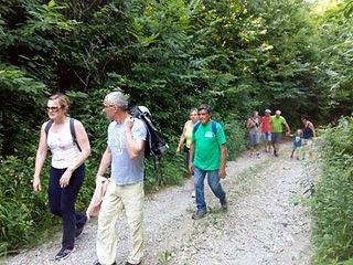 in cammino