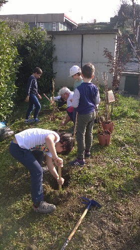 garden3