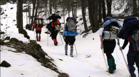 C.R.I. 2016: Le voci dell'Inverno tra bosco, musica e camino