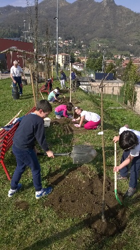 garden1