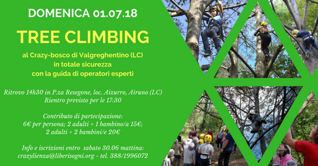 01.07 - Tree Climbing: ci arrampichiamo sugli alberi!