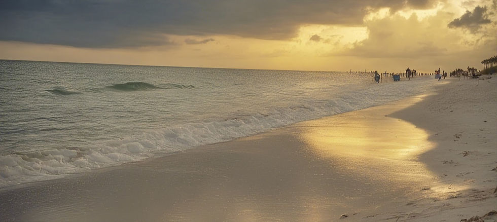 Beach in Naples FL