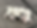 Fix puppies.heic