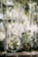 2024-C+A-Charlotteannphoto-3.jpg