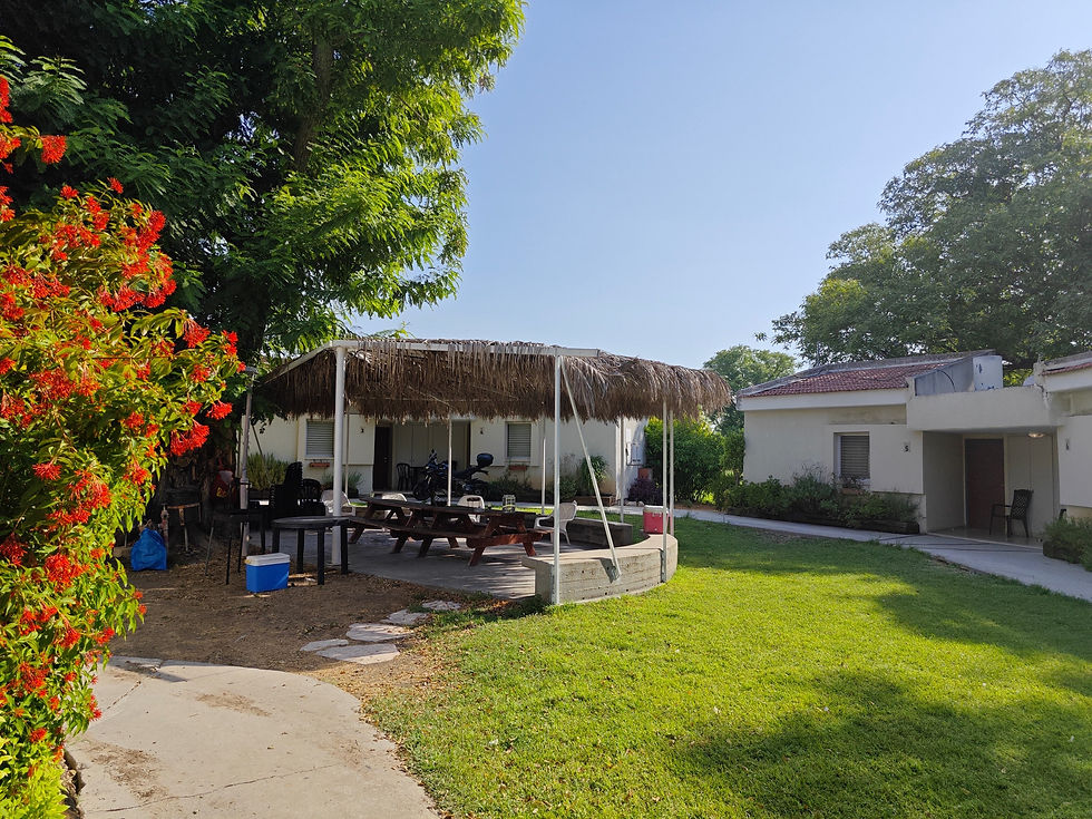 IMG_20240726_085037_Original