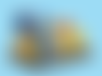 RIMI — el nuevo beneficio fiscal para pymes que invierten en su negocio