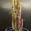 Miniatura: Euphorbia trigona rubra vaso 28 - (Consegna solo su Roma)
