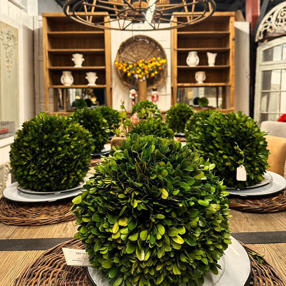 Dinning Table