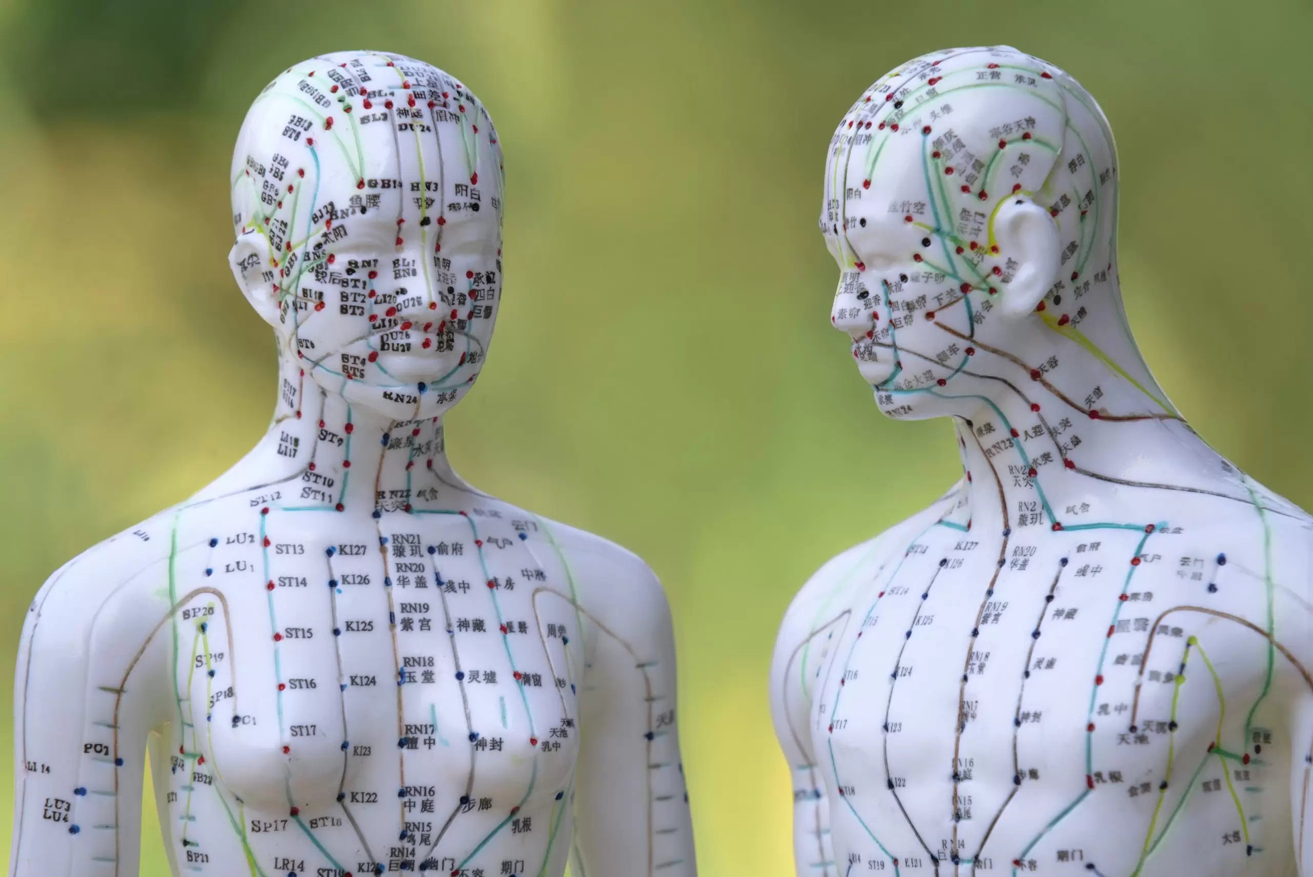 Les méridiens du corps humain