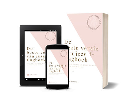 Cover Dagboek 3.jpg