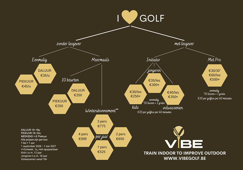 VIBE Schema - achterzijde A4.png