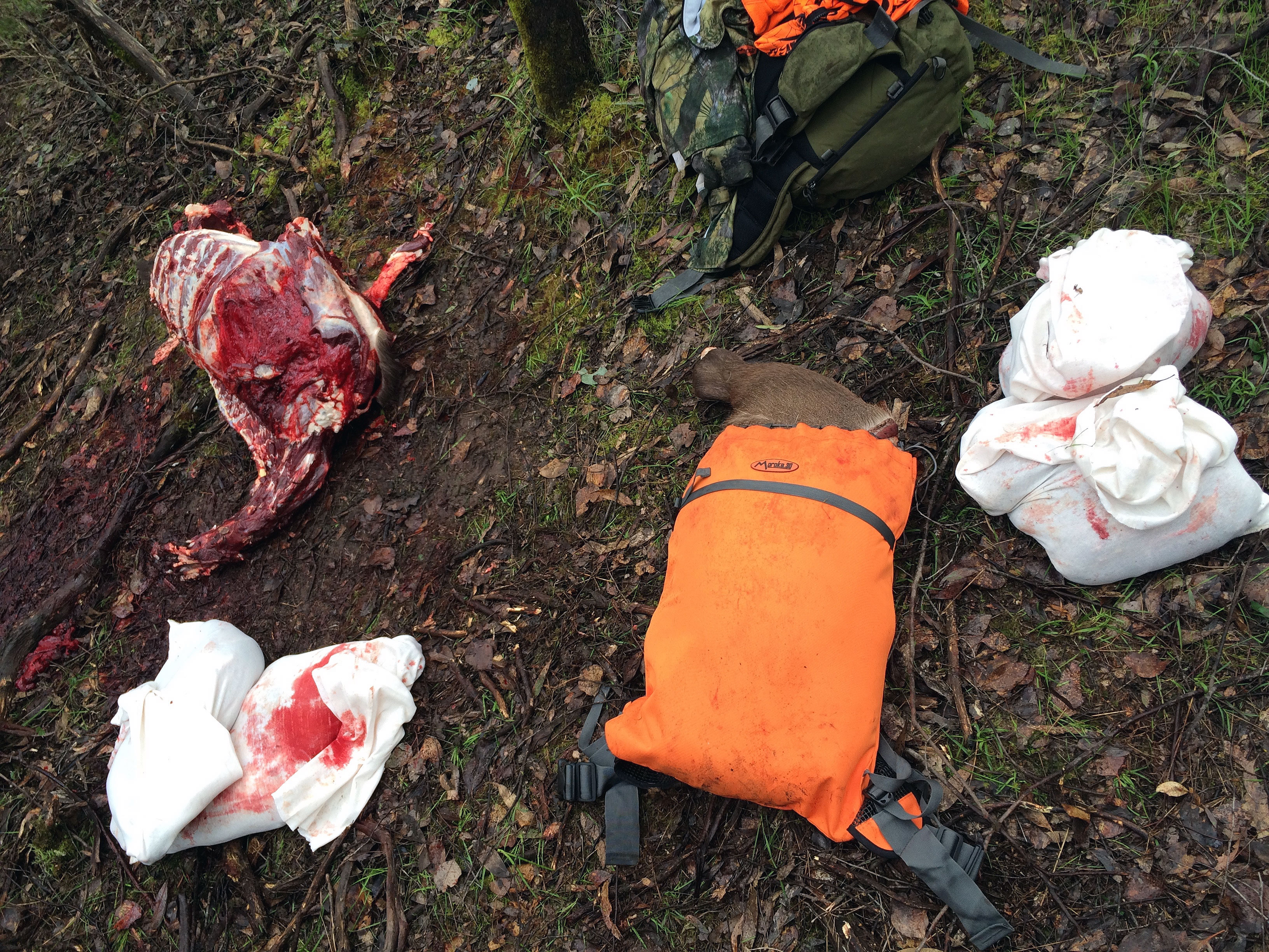 free range organic red meat