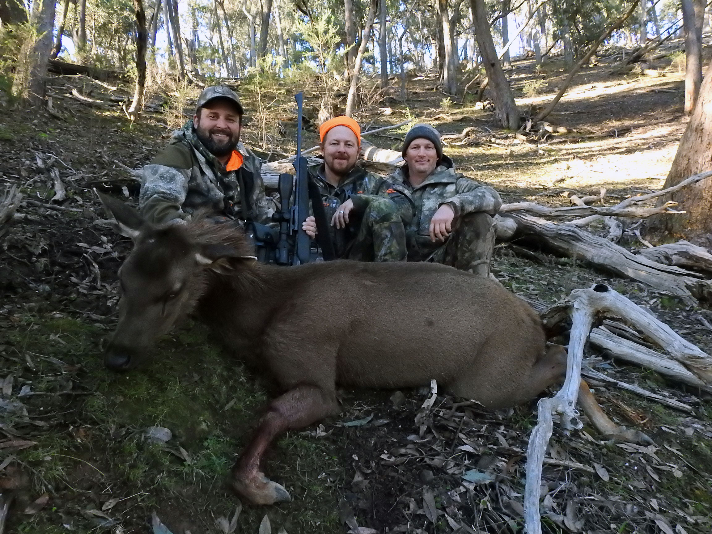 Filming Sambar With The AHA Crew