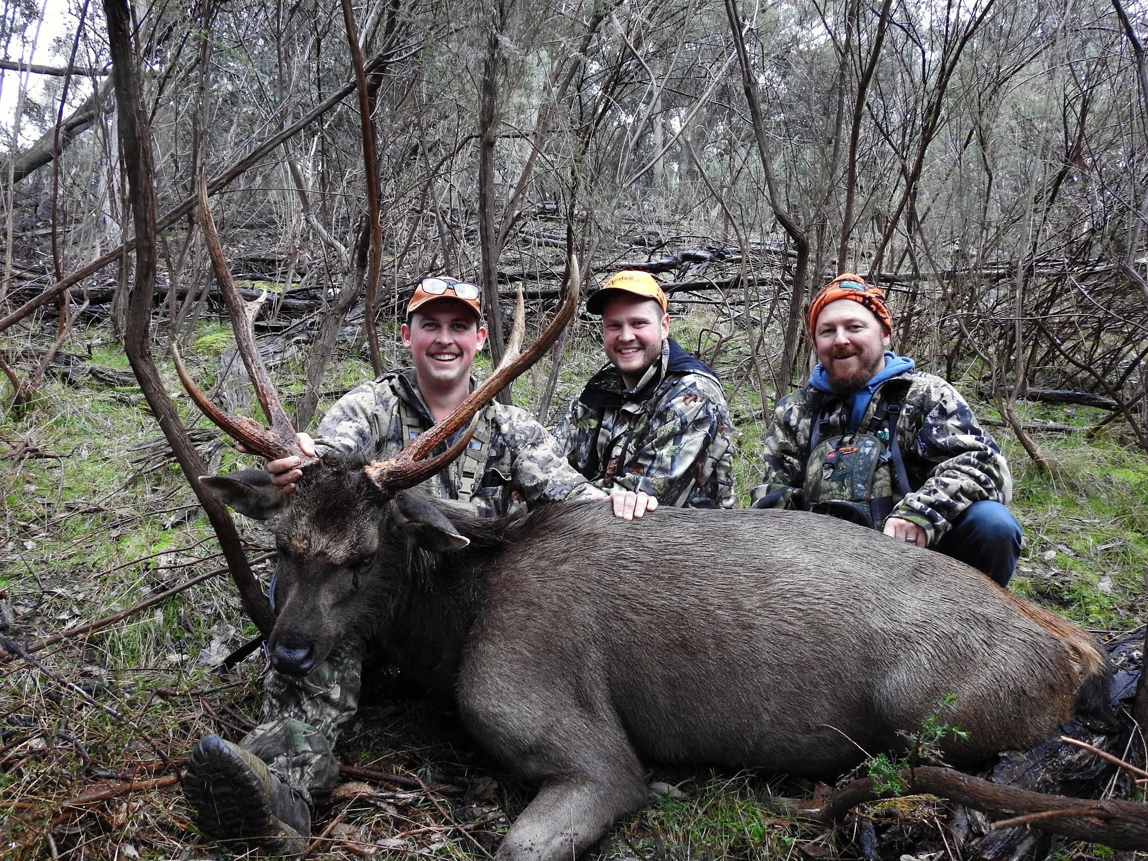 Brad's First Sambar stag