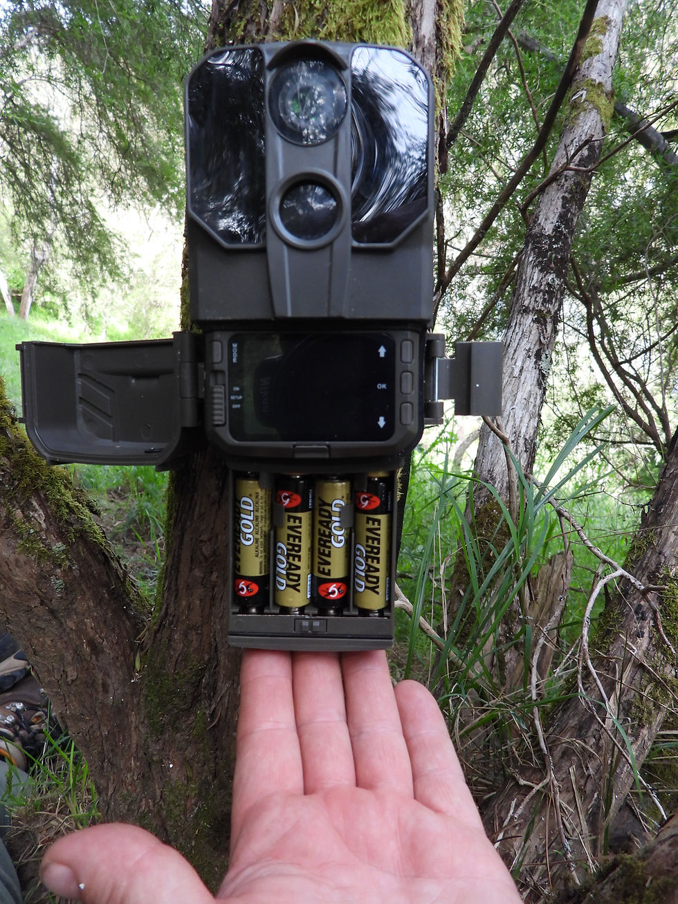 Thumbnail: Ridgeline 4K Trail Camera