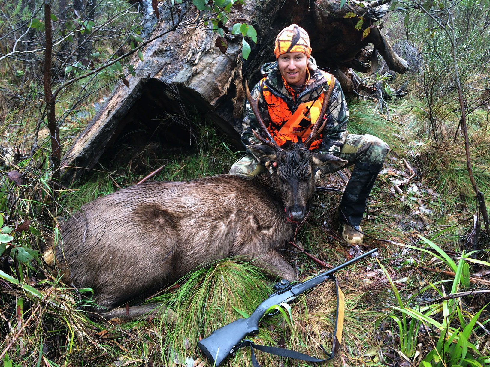 Koraya First Sambar Stag