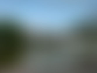 🗳️ How to Vote in the MWD Division 2 Election on November 12th