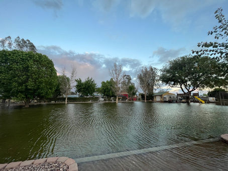 🗳️ How to Vote in the MWD Division 2 Election on November 12th