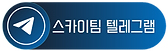 스카이팀 텔레그램