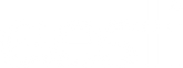 desti logo white.png
