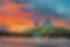 FEED SV (8)_edited.png