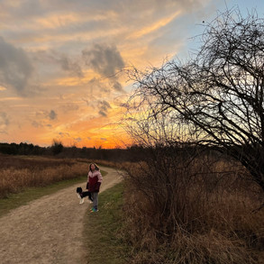 Natural spaces to walk your pets.